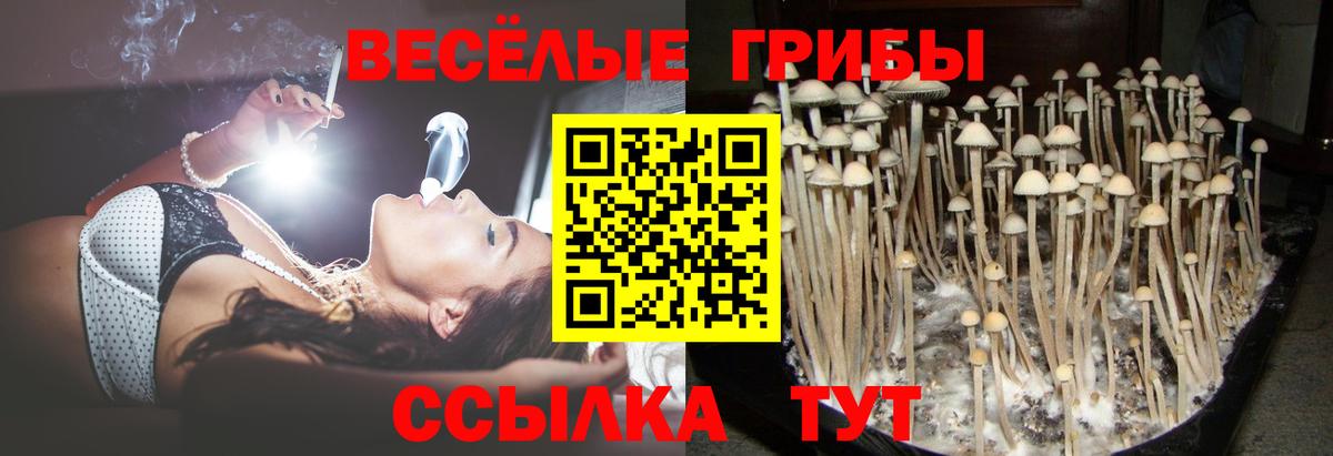 Псилоцибиновые грибы Psilocybine cubensis  Вход с VPN  Гуково 